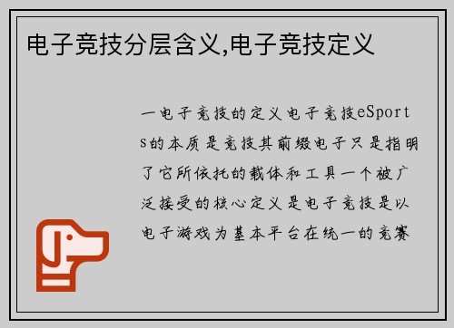 电子竞技分层含义,电子竞技定义